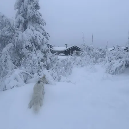 Sletthovdun 151 * Ål