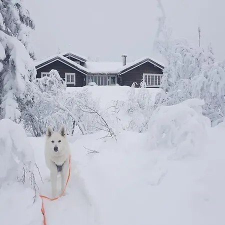 Sletthovdun 151 *