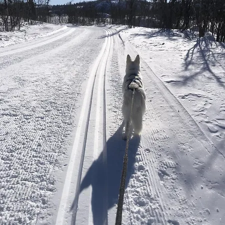 Feriehus Sletthovdun 151 *