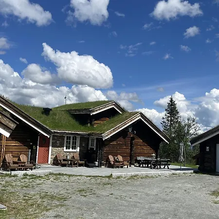 Feriehus Sletthovdun 151 Ål
