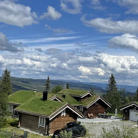 Feriehus Sletthovdun 151 Ål
