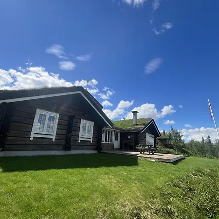 Sletthovdun 151 Holiday home Al